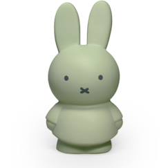 Linge de maison et décoration-Décoration-Tirelire miffy