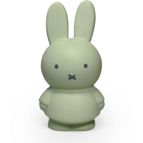 Tirelire miffy Beige+Marron+Rose+Vert, noir 17 - vertbaudet enfant 
