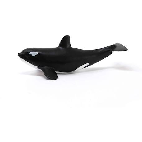 Wild life bébé orque Noir et blanc 5 - vertbaudet enfant 