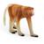 Wild life nasique Marron 2 - vertbaudet enfant 