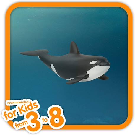 Wild life bébé orque Noir et blanc 2 - vertbaudet enfant 