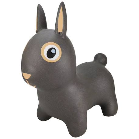 Ballon sauteur Gris antracite+Vert sauge 1 - vertbaudet enfant 