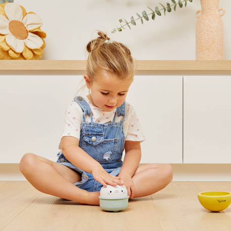 Chat culbuto et véhicule à friction Jaune 6 - vertbaudet enfant 