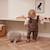 Jouet à tirer en bois mammouth neo Gris, beige 2 - vertbaudet enfant 
