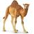 Wild life - dromadaire Marron 1 - vertbaudet enfant 