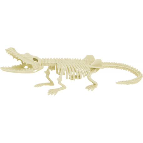 Kit paleo - crocodile Gris 3 - vertbaudet enfant 
