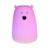 Veilleuse téo ours avec télécommande Blanc 3 - vertbaudet enfant 