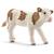 Veau simmental français Beige et marron 1 - vertbaudet enfant 