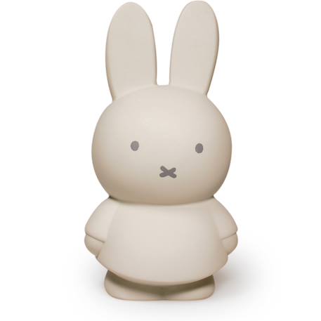 Tirelire miffy Beige+Marron+Rose+Vert, noir 1 - vertbaudet enfant 