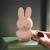 Tirelire miffy Beige+Marron+Rose+Vert, noir 13 - vertbaudet enfant 
