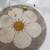 Tapis chambre enfant rond bohemian daisy Beige+Gris+Multicolore 1 - vertbaudet enfant 