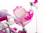 Vélo enfant disney princess 14' Rose-blanc 3 - vertbaudet enfant 