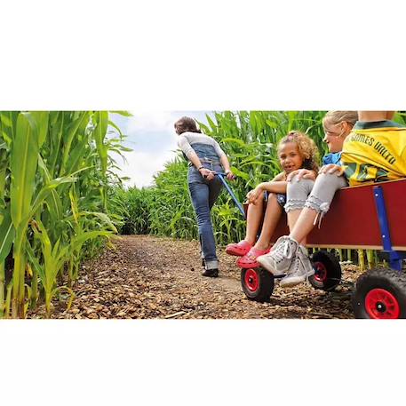 Chariot en Bois Marron 2 - vertbaudet enfant 