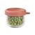 Portion repas en verre 150 ml Terracotta 3 - vertbaudet enfant 