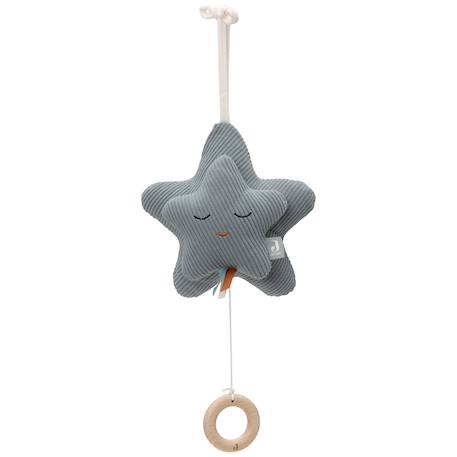Peluche musicale star sea green Bleu 1 - vertbaudet enfant 
