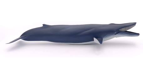 Baleine bleue Bleu 3 - vertbaudet enfant 