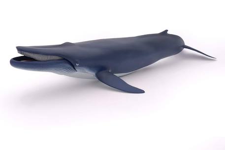 Baleine bleue Bleu 1 - vertbaudet enfant 