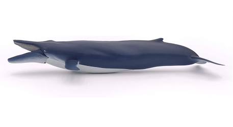 Baleine bleue Bleu 6 - vertbaudet enfant 