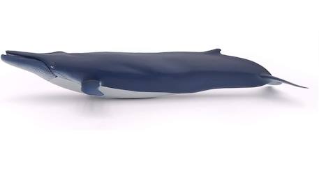 Baleine bleue Bleu 4 - vertbaudet enfant 