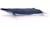 Baleine bleue Bleu 4 - vertbaudet enfant 