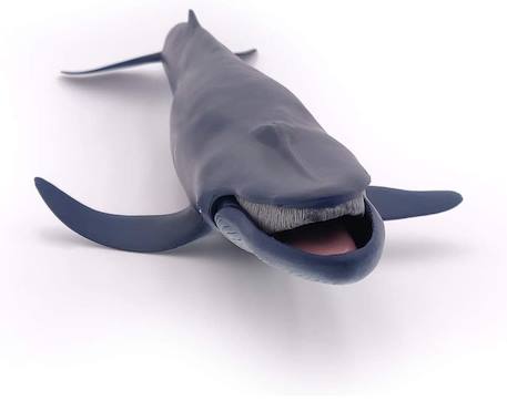Baleine bleue Bleu 2 - vertbaudet enfant 