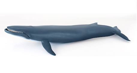Baleine bleue Bleu 5 - vertbaudet enfant 