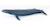 Baleine bleue Bleu 5 - vertbaudet enfant 