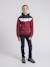 Sweat capuche warcy garçon Bordeaux 4 - vertbaudet enfant 