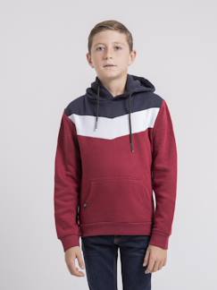 -Sweat capuche warcy garçon
