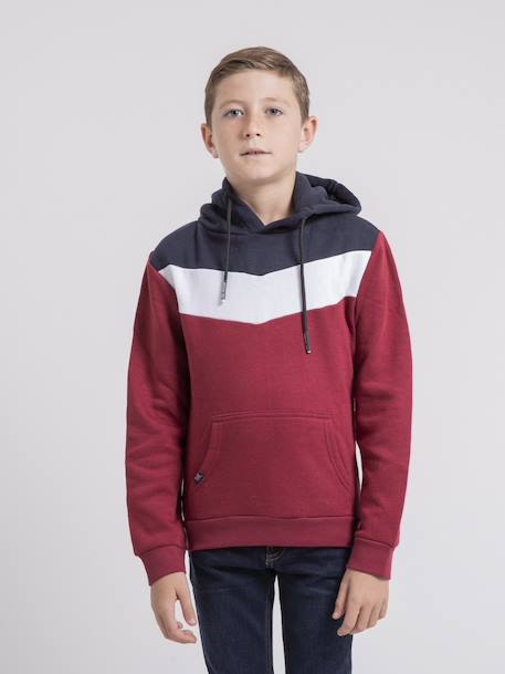 Garçon-Pull, gilet, sweat-Sweat capuche warcy garçon