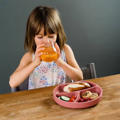 Assiette à compartiments avec ventouse aquamarine+gris clair+gris foncé+menthe+Rose foncé+rose pâle 28 - vertbaudet enfant 