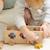 Boîte à formes voiture Bois 2 - vertbaudet enfant 