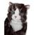 Peluche - peluche chat mimiz gris - 28 cm Gris 4 - vertbaudet enfant 