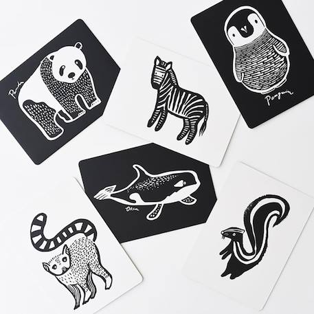 Boîte de 6 cartes imagier en noir et blanc - collection Multi-coloured 2 - vertbaudet enfant 