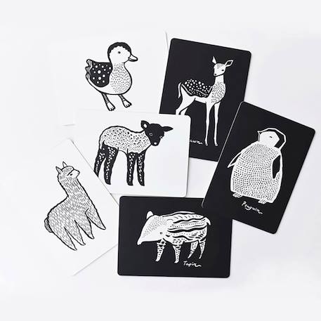 Boîte de 6 cartes imagier en noir et blanc - bébé animaux Multi-coloured 2 - vertbaudet enfant 