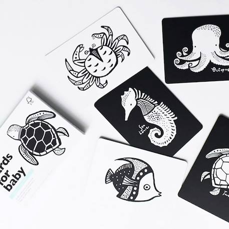 Boîte de 6 cartes imagier en noir et blanc - océan Multi-coloured 2 - vertbaudet enfant 
