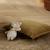 Doudou en coton bio - petit soleil Beige+Bleu+Rose 2 - vertbaudet enfant 