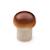 Champignon Marron 1 - vertbaudet enfant 