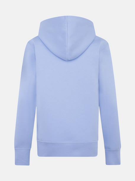 Sweat à capuche pour enfant avec poche kangourou Bleu clair 2 - vertbaudet enfant 