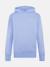 Sweat à capuche pour enfant avec poche kangourou Bleu clair 1 - vertbaudet enfant 