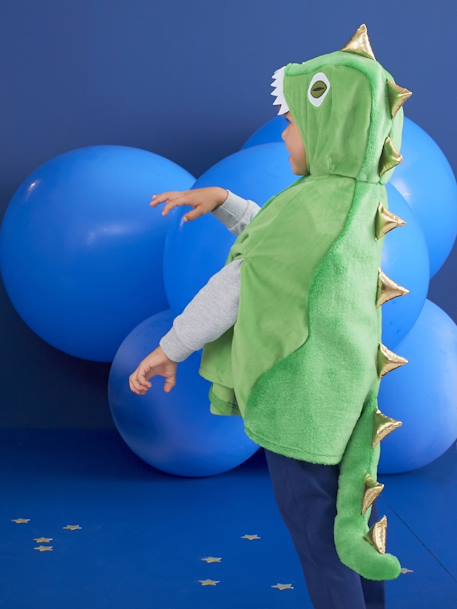 Déguisement dinosaure vert 2 - vertbaudet enfant 