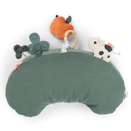 Coussin d'éveil tummy time tiny farm vert Bleu+Vert 4 - vertbaudet enfant 