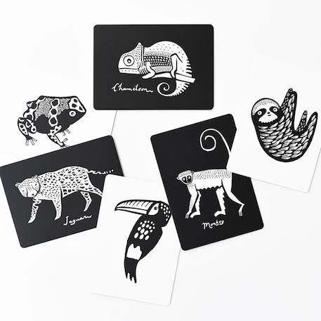 Boîte de 6 cartes imagier en noir et blanc - forêt tropicale Multi-coloured 2 - vertbaudet enfant 