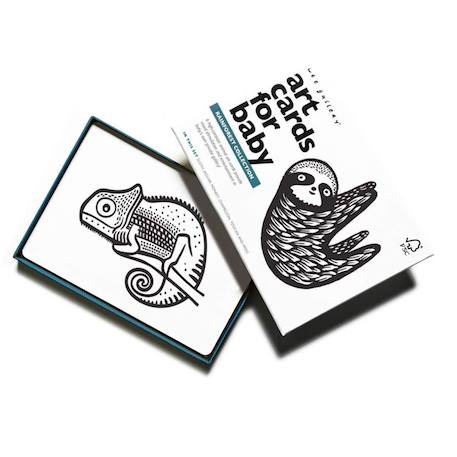 Boîte de 6 cartes imagier en noir et blanc - forêt tropicale Multi-coloured 1 - vertbaudet enfant 