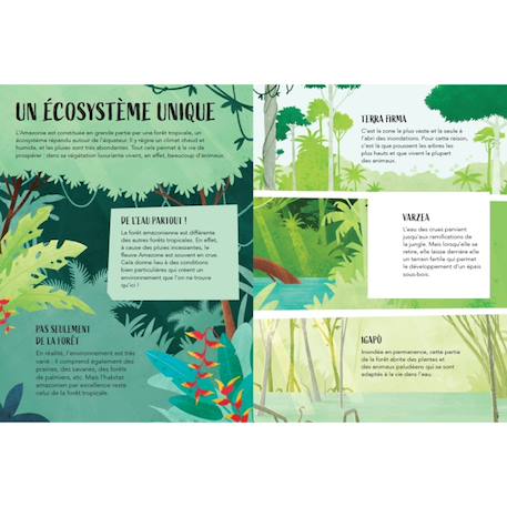 La planète en danger - l'amazonie Vert 3 - vertbaudet enfant 