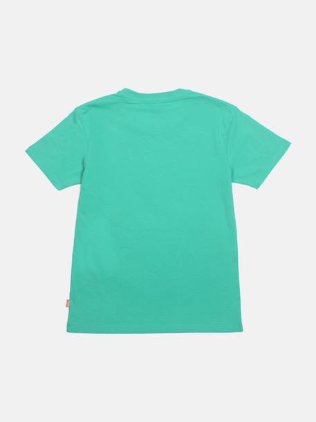 T-shirt  manches courtes Blanc+Bleu clair+Bleu foncé+Rose+Vert 10 - vertbaudet enfant 