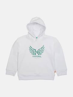 -Sweat à capuche