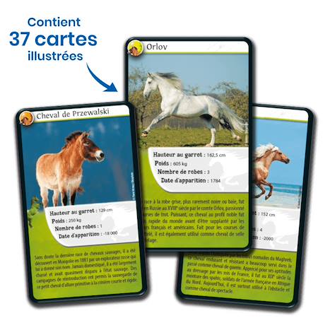 Jeu de cartes défis nature - chevaux - fabriqué en france MULTICOLORE 4 - vertbaudet enfant 