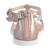 Sandales  vernis  à brides Blanc rose claire+Noir platinium+Rose 15 - vertbaudet enfant 