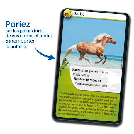 Jeu de cartes défis nature - chevaux - fabriqué en france MULTICOLORE 3 - vertbaudet enfant 